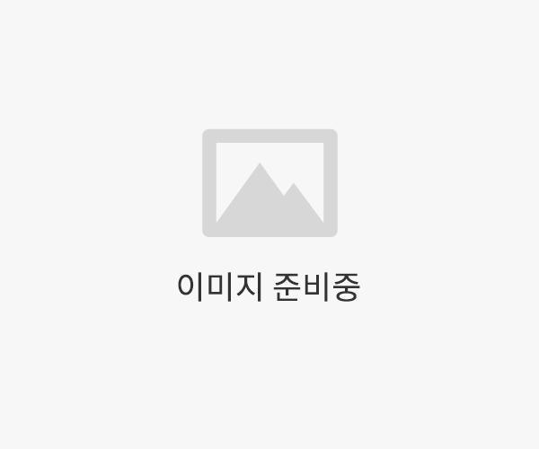 이미지 준비중2